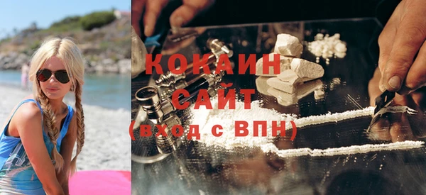 твердый Осинники