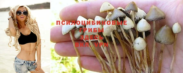 Альфа ПВП Баксан