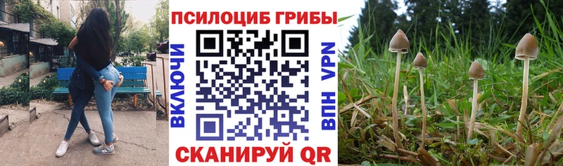 Псилоцибиновые грибы мухоморы  кракен ссылки  Краснослободск 